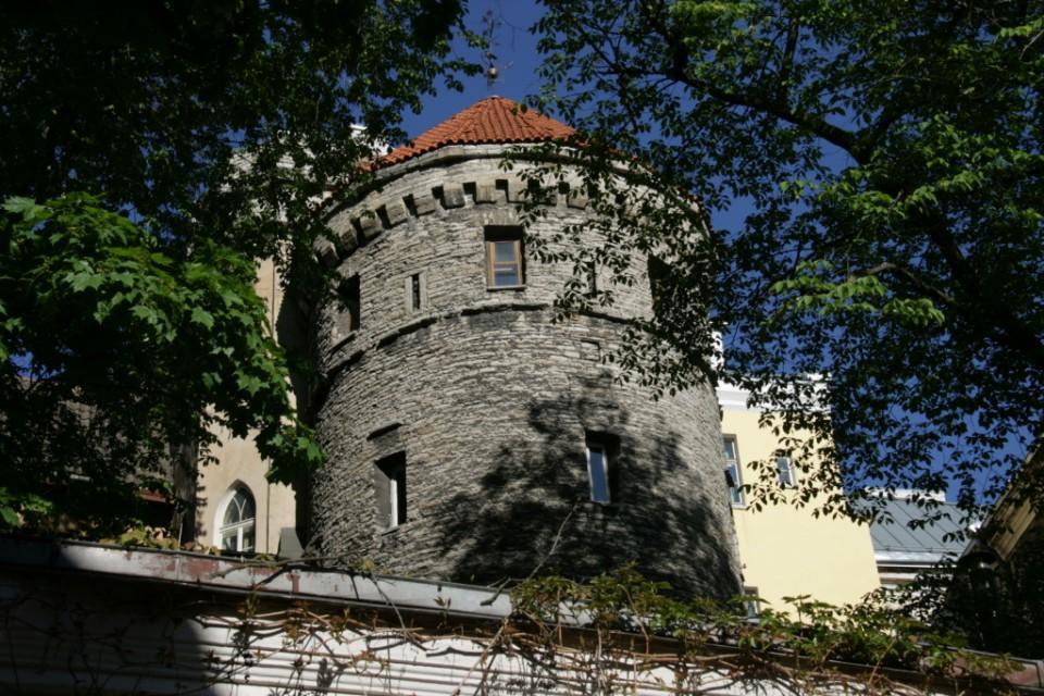Rapunzel Tower *